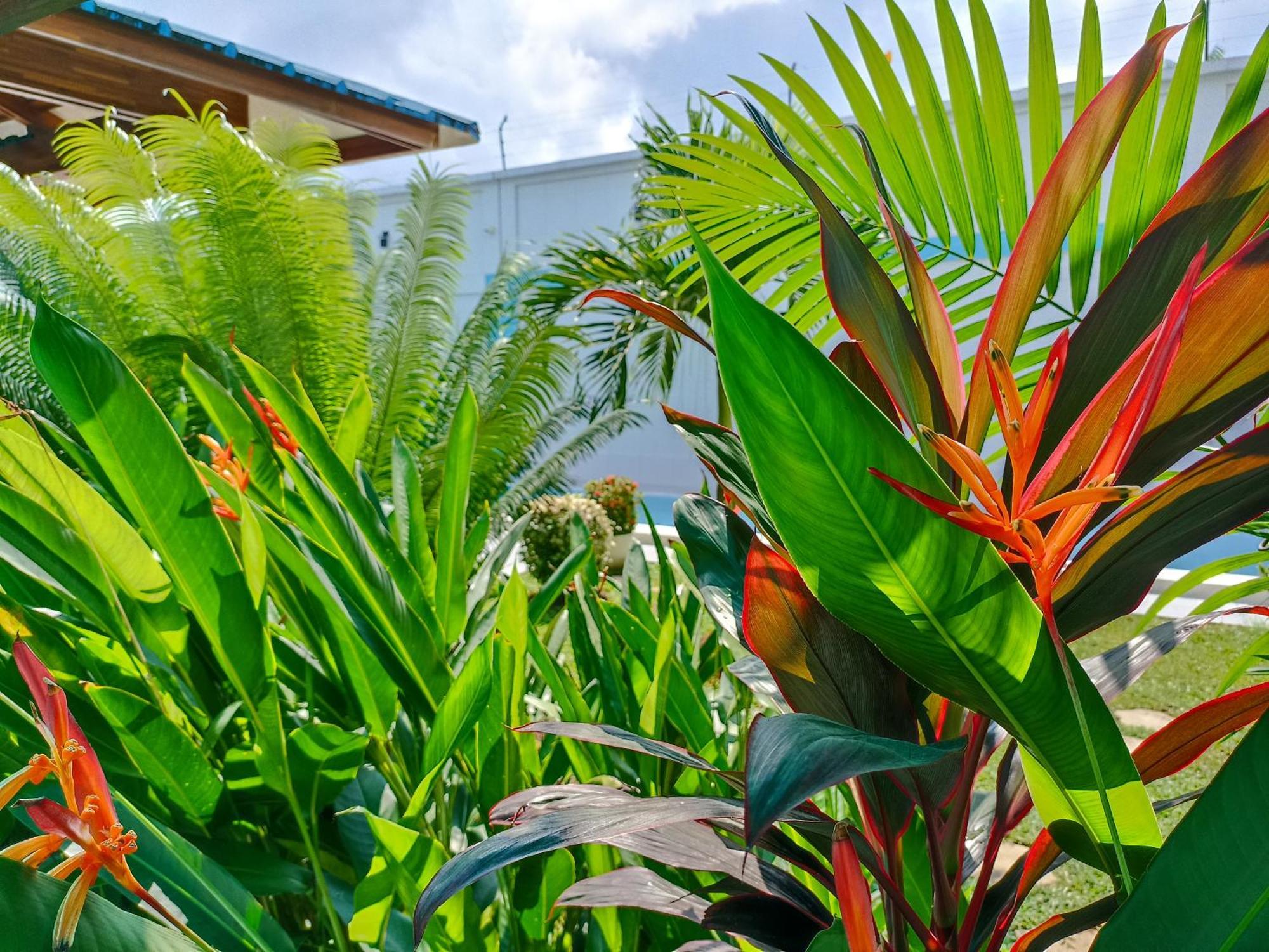 Apartamento Morona Flats & Pool - 70 M2 Iquitos Exterior foto